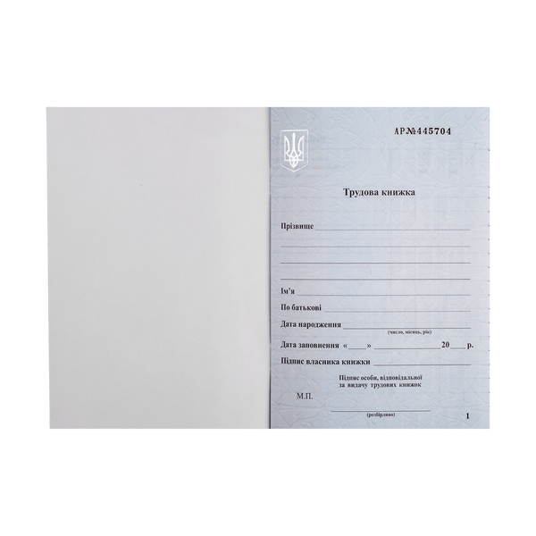 Трудова книжка Buromax BM.287060 фото