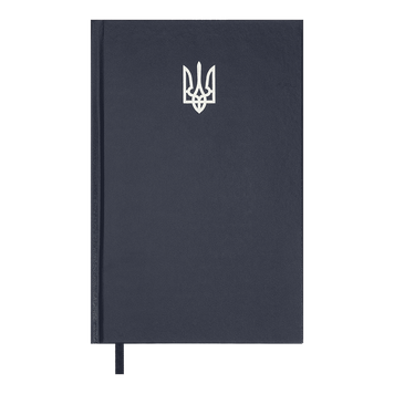 Щоденник недатований з бумвінілу А5 Buromax Airy 320 сторінок синій BM.20731-02 фото