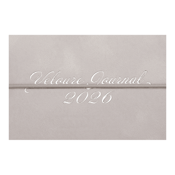 Еженедельник датированный 2026 Buromax Velour из искусственной кожи 153x87 мм 128 страниц светло-серый BM.2902-20 фото
