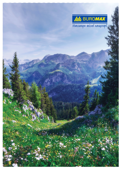Книга канцелярська Buromax Природа А4 96 аркушів в клітинку асорті дизайнів BM.2430 фото